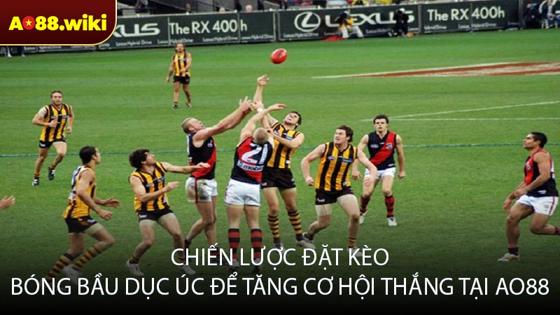 Chiến lược đặt kèo bóng bầu dục Úc để tăng cơ hội thắng tại AO88