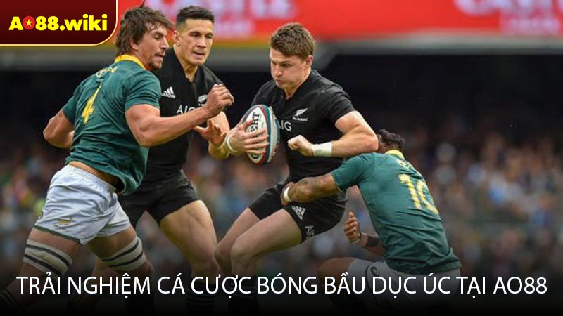 Trải nghiệm cá cược bóng bầu dục Úc tại AO88